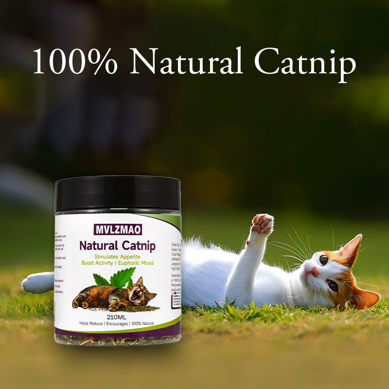 Cat Toys - Silvervine Catnip f - Herbal Wellness Products 评论和价格