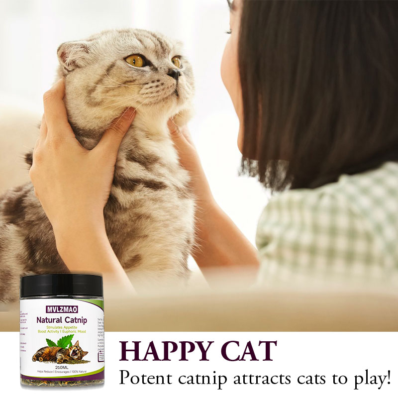 Cat Toys - Silvervine Catnip f - Herbal Wellness Products 评论和价格